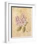 Lilac on Cracked Linen-Cheri Blum-Framed Art Print