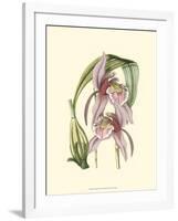 Lilac Orchid III-null-Framed Art Print