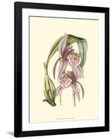 Lilac Orchid III-null-Framed Art Print