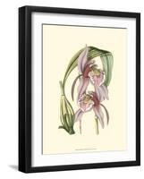 Lilac Orchid III-null-Framed Art Print