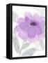 Lilac Peony II-Beverly Dyer-Framed Stretched Canvas