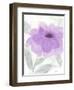 Lilac Peony II-Beverly Dyer-Framed Art Print