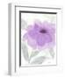 Lilac Peony II-Beverly Dyer-Framed Art Print