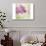 Lilac Reflection-Judy Stalus-Premium Giclee Print displayed on a wall