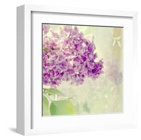 Lilac Reflection-Judy Stalus-Framed Art Print