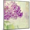 Lilac Reflection-Judy Stalus-Mounted Art Print