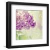 Lilac Reflection-Judy Stalus-Framed Art Print