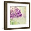 Lilac Reflection-Judy Stalus-Framed Art Print