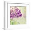 Lilac Reflection-Judy Stalus-Framed Art Print