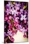 Lilac Rush-Katja Marzahn-Mounted Giclee Print