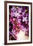 Lilac Rush-Katja Marzahn-Framed Giclee Print