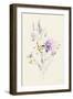 Lilac Season I Pastel-Danhui Nai-Framed Art Print