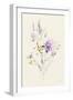 Lilac Season I Pastel-Danhui Nai-Framed Art Print
