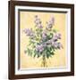 Lilac Season I-Telander-Framed Giclee Print
