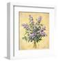 Lilac Season I-Todd Telander-Framed Art Print