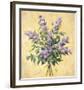 Lilac Season I-Todd Telander-Framed Art Print