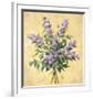 Lilac Season I-Todd Telander-Framed Art Print