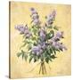 Lilac Season I-Todd Telander-Stretched Canvas