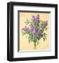 Lilac Season II-Telander-Framed Giclee Print