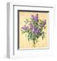 Lilac Season II-Telander-Framed Giclee Print