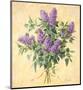 Lilac Season II-Telander-Mounted Giclee Print