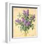 Lilac Season II-Telander-Framed Giclee Print