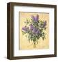 Lilac Season II-Todd Telander-Framed Art Print