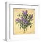 Lilac Season II-Todd Telander-Framed Art Print