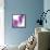 Lilac (Syringa Vulgaris)-Cristina-Framed Stretched Canvas displayed on a wall