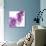 Lilac (Syringa Vulgaris)-Cristina-Photographic Print displayed on a wall