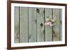 Lilac Through a Fence-Henry Steven-Framed Photographic Print