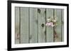 Lilac Through a Fence-Henry Steven-Framed Photographic Print