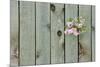 Lilac Through a Fence-Henry Steven-Mounted Photographic Print