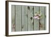 Lilac Through a Fence-Henry Steven-Framed Photographic Print