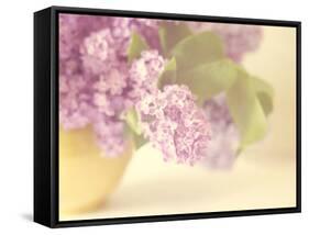 Lilac Time-Doug Chinnery-Framed Stretched Canvas