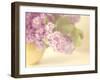 Lilac Time-Doug Chinnery-Framed Photographic Print