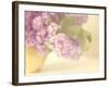 Lilac Time-Doug Chinnery-Framed Photographic Print