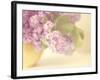 Lilac Time-Doug Chinnery-Framed Photographic Print