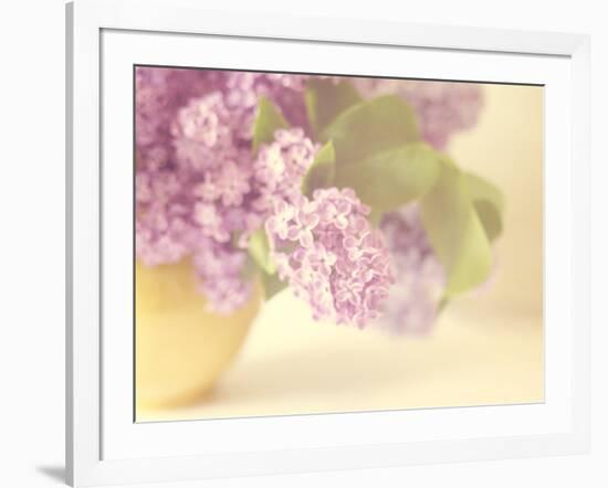 Lilac Time-Doug Chinnery-Framed Photographic Print