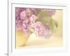 Lilac Time-Doug Chinnery-Framed Photographic Print