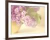 Lilac Time-Doug Chinnery-Framed Photographic Print