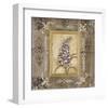 Lilac-Mindeli-Framed Giclee Print