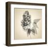 Lilac-Judy Stalus-Framed Art Print