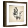 Lilac-Judy Stalus-Framed Art Print