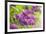 Lilac-Karyn Millet-Framed Photographic Print