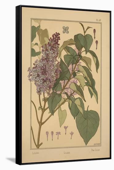 Lilac-null-Framed Stretched Canvas