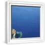 White Frame