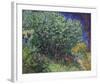 Lilacs, 1889-Vincent Van Gogh-Framed Art Print