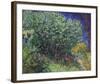 Lilacs, 1889-Vincent Van Gogh-Framed Art Print