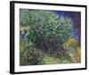 Lilacs, 1889-Vincent Van Gogh-Framed Art Print